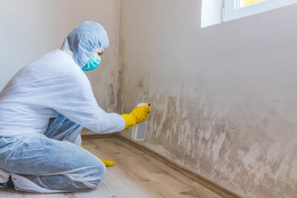 Asbestos and Lead Testing During Mold Inspection in Arapahoe, NE
