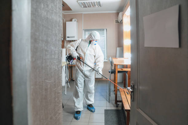 Best Emergency Mold Remediation  in Arapahoe, NE