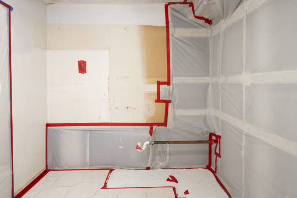 Trusted Arapahoe, NE Mold Removal Experts