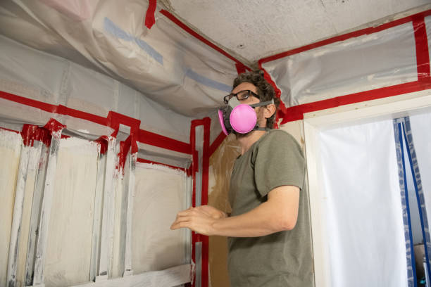 Best Mold Documentation for Insurance Claims  in Arapahoe, NE