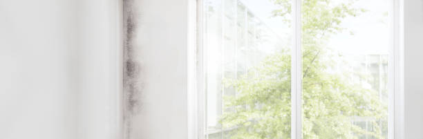 Best Air Quality Testing for Mold Spores  in Arapahoe, NE