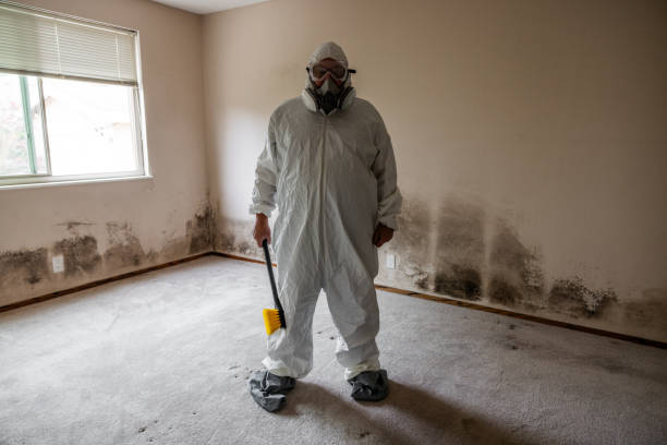 Forensic Mold Investigation in Arapahoe, NE