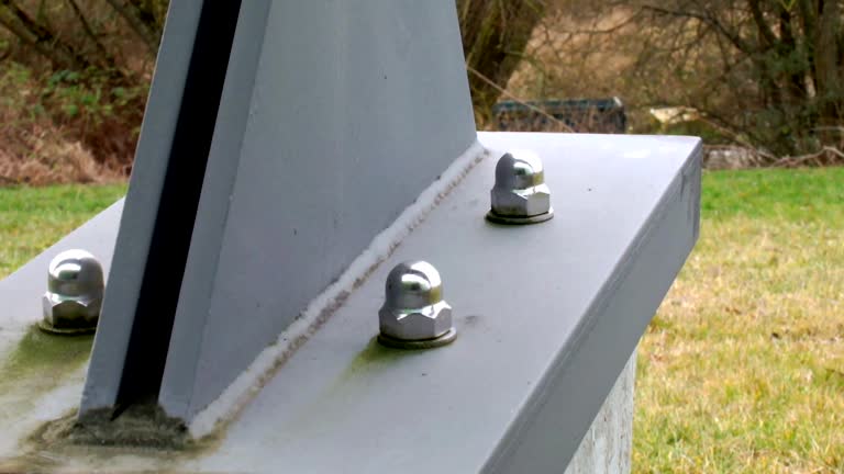 Best Forensic Mold Investigation  in Arapahoe, NE